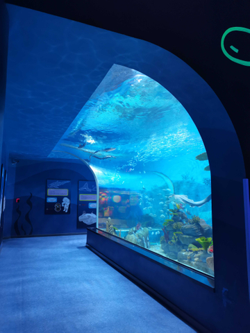 Le Yu Acryl Factory neemt je mee om het Sea World Oceanarium te verkennen - leyu