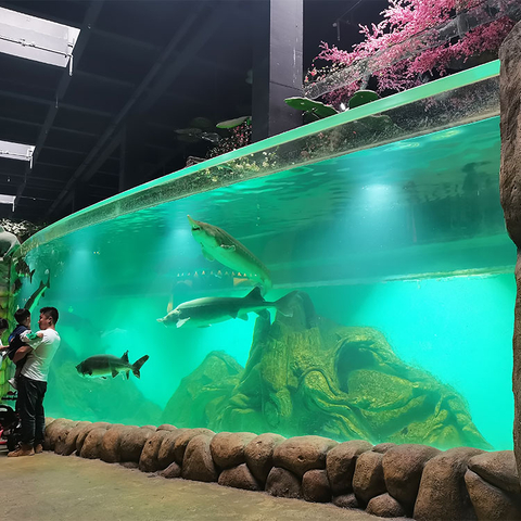 Is Oceanarium populair bij toeristen in Chicago-Lleyu Acryl Sheet Products Factory