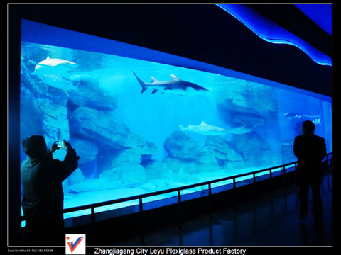 He aha te moana o te moana e tata ana ki ahau me te acrylic aquarium - Leyu