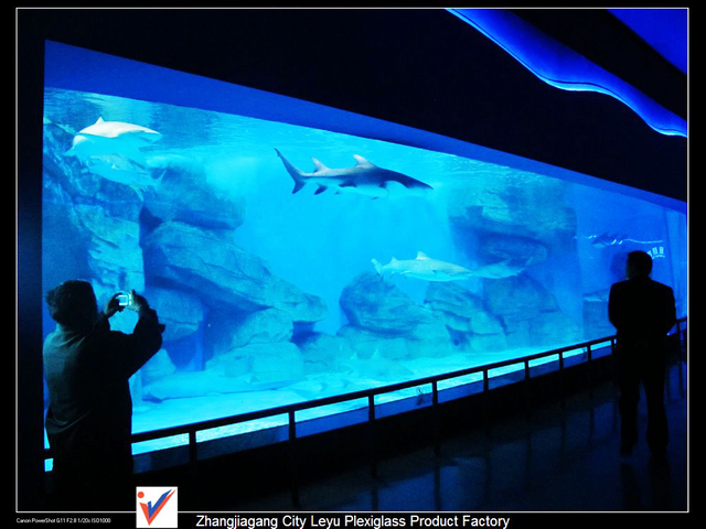 Melyek az oceanarium a k&ouml;zelemben Akril Akv&aacute;rium - Leyu