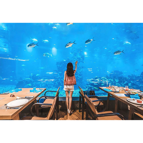 Dlaczego Ocean Restaurant używa paneli akrylowych - Fabryka produktów akrylowych Leyu