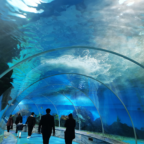 Ko te leyu acrylic ka mau koe i runga i te hikoi i roto i te Aquarium Tunnel-Leyu He wheketere hua hua
