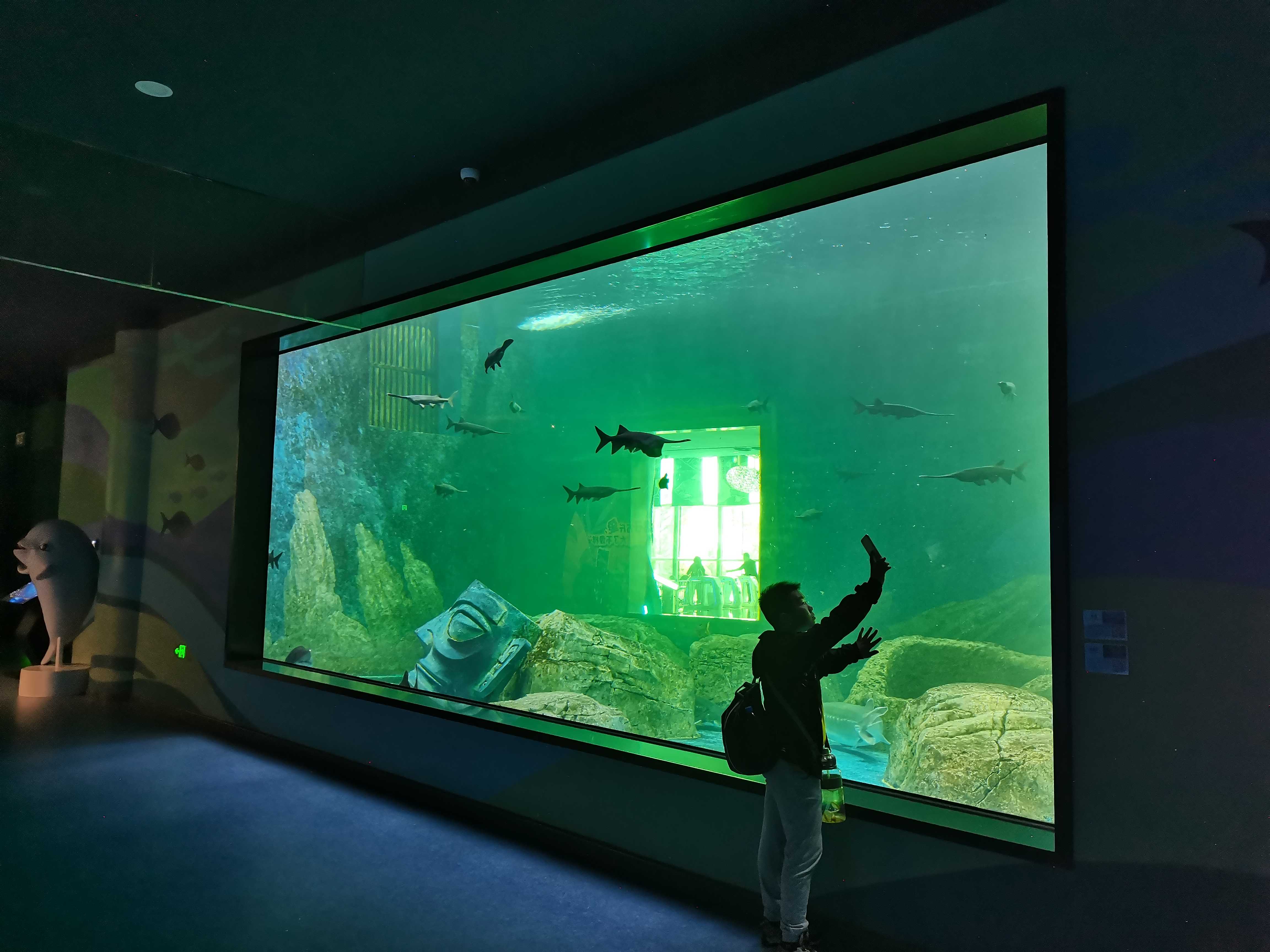Ocean Park Inn nerede - Leyu