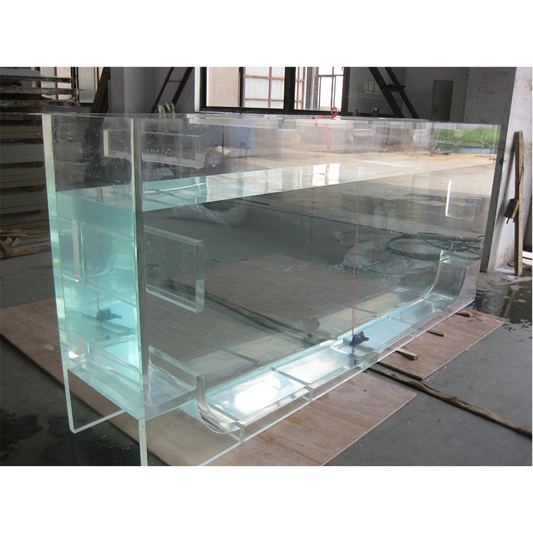 Jellyfish Aquarium Tank  discovery Freshwater Jellyfish Aquarium - leyu