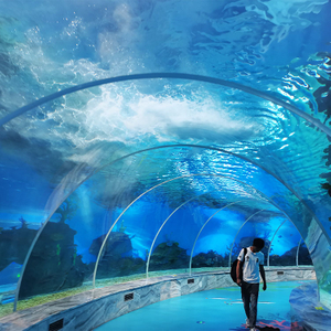 Why Is The Aquarium Tunnel So Popular-Leyu Acrylic Sheet Products Factory
