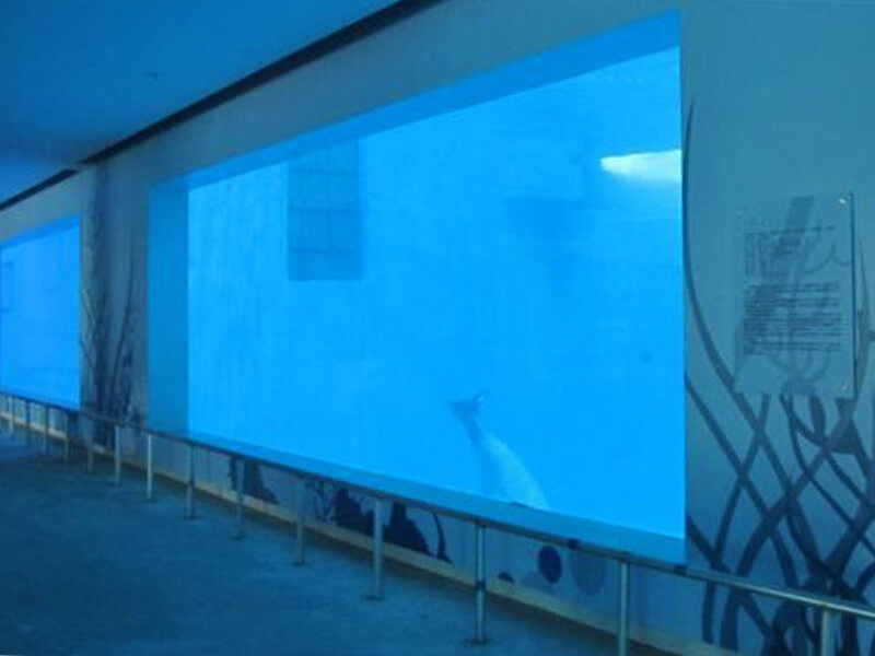 Shandong-Penglai-Underwater-World2