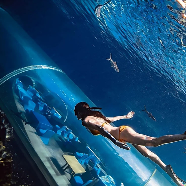 Chay sumaq acuario hatun acrílico tunel-leyu acrílico hoja productos fábrica .