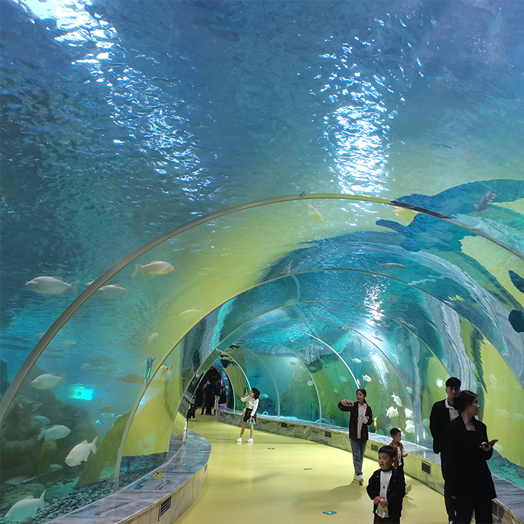 Jelajahi Ocean World Oceanarium Dan Pusat Pendidikan-Pabrik Akrilik Leyu