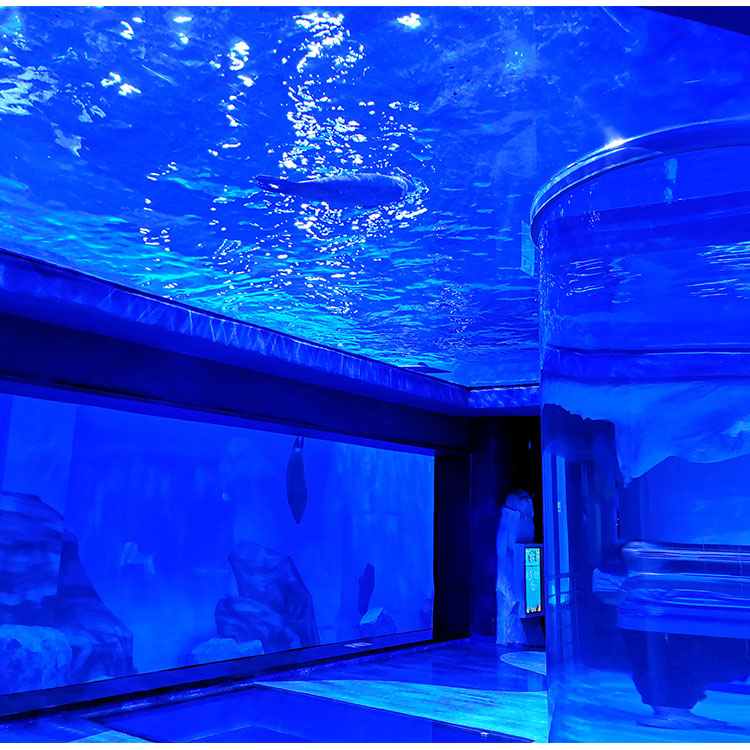 Oceanarium chicago oceanarium restaurant how to clean a fish tankLeyu acrylic aquarium factory - Leyu