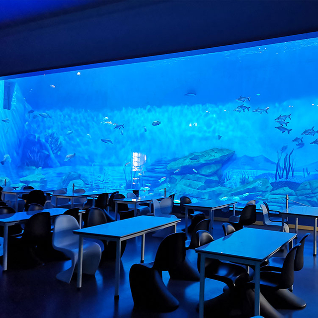 2024 Ei voi ohittaa tapoja Pintanaarmujen korjaus akryylivesiravintoloissa - Leyu Akryylilevytuotteiden tehdas