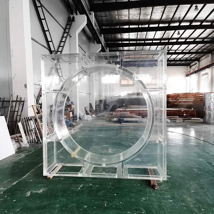 Akvarij z meduzami Ali lahko imam v svojem akvariju meduze - Leyu