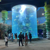 Clear For Life Aquarium-tillverkare nära Me-Leyu akrylplåtprodukter Fabrik