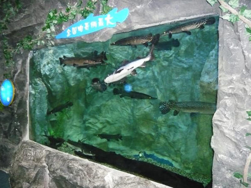 Ningbo