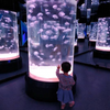 Acquario per meduse acrilico personalizzato, acquario per meduse, quali stili - Leyu