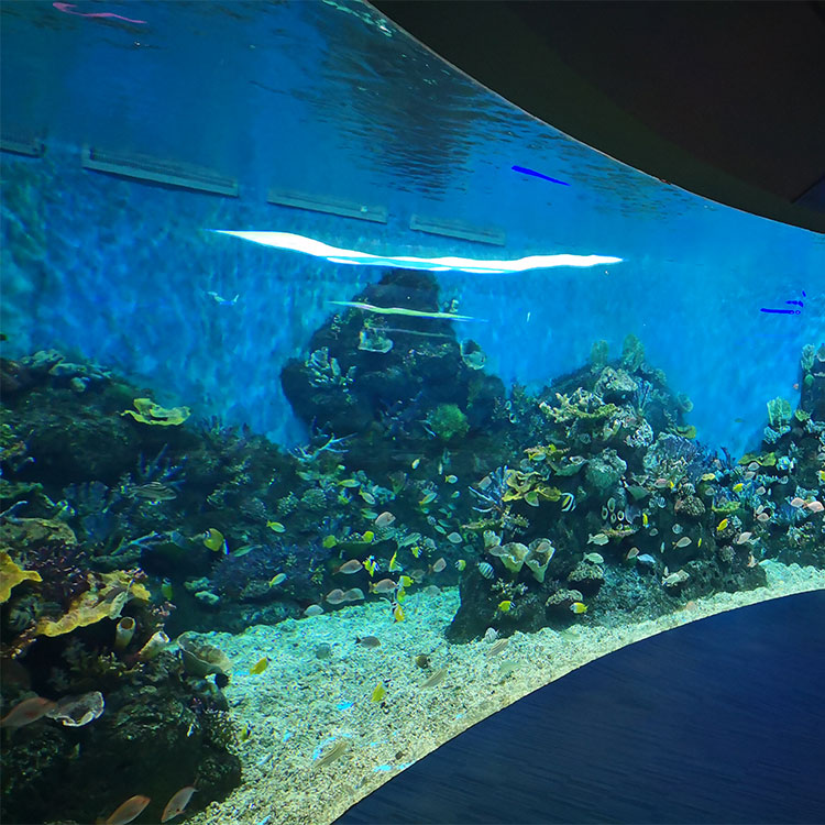 Dette er hvordan de massive akryl akvarievinduene er laget - Leyu Acrylic Sheet Products Factory