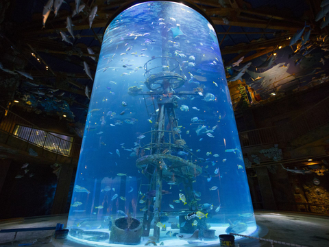 Production et installation de grands aquariums cylindriques en acrylique - LEYU