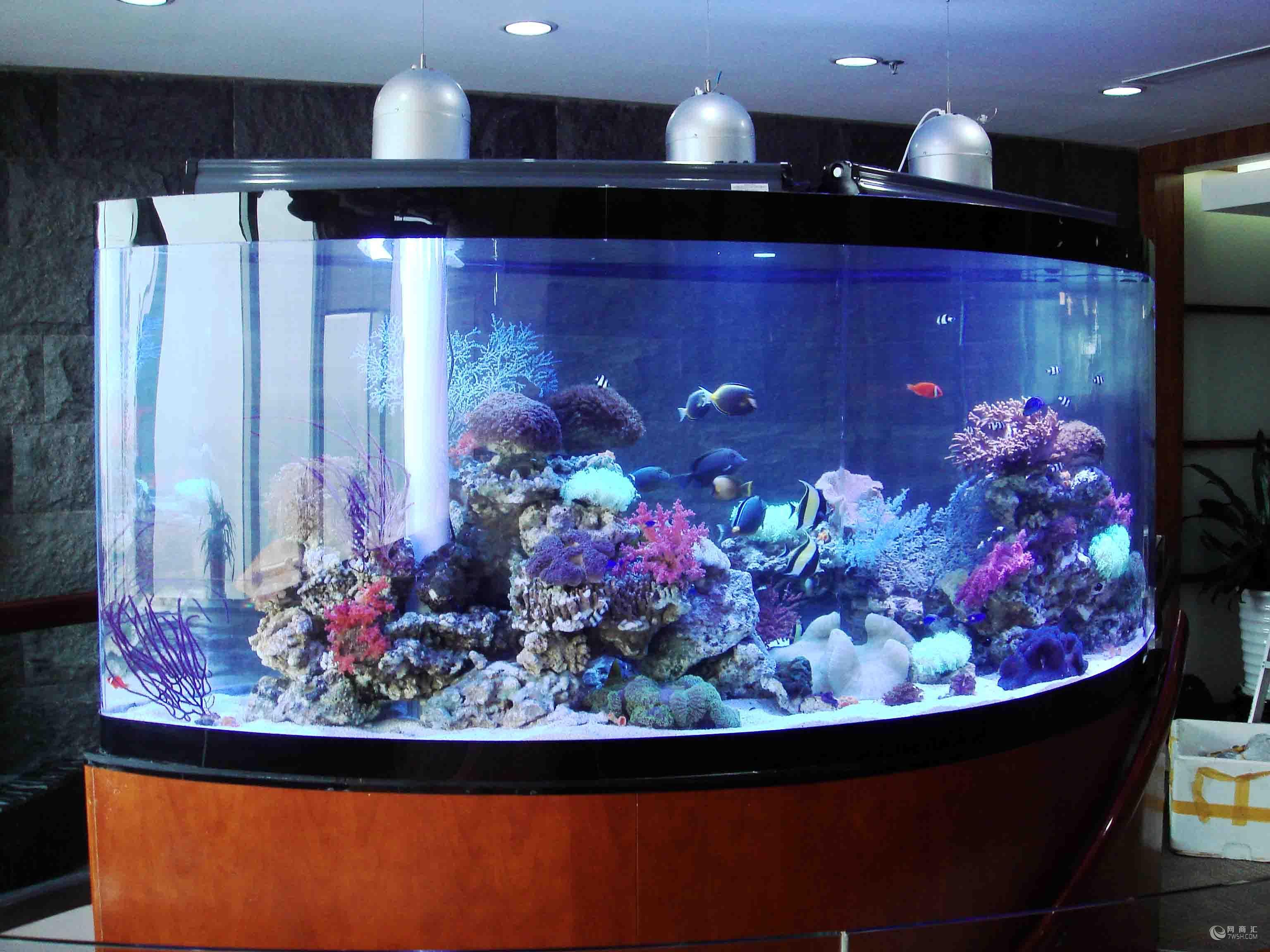 Ch&uacute;ng t&ocirc;i c&oacute; thể cung cấp sản xuất v&agrave; lắp đặt bể c&aacute; acrylic hồ c&aacute; lớn - Leyu