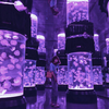 Acquario per meduse acrilico personalizzato, acquario per meduse, quali stili - Leyu