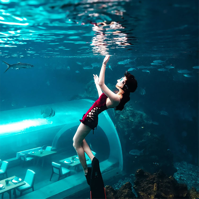 Ultra besar yang jelas melengkung lautan akuarium tangki akrilik acrylics terowong kaca leyu acrylic acrylic factory - leyu 