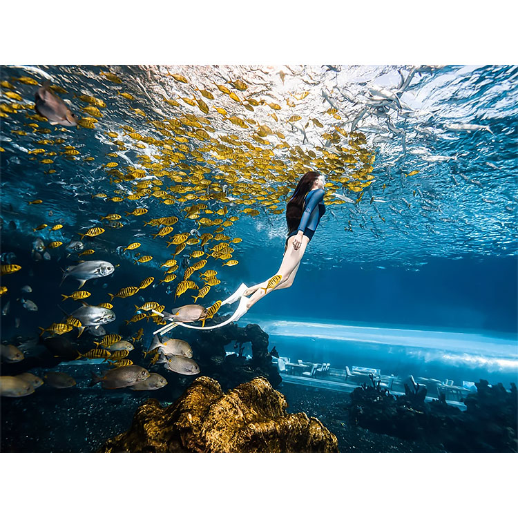 Kiwanda cha Aquarium cha Aquarium cha Tangi ya Akriliki Kubwa ya Wazi Kubwa Inayopinda Kiwanda cha akriliki cha Kioo cha Leyu - Leyu 