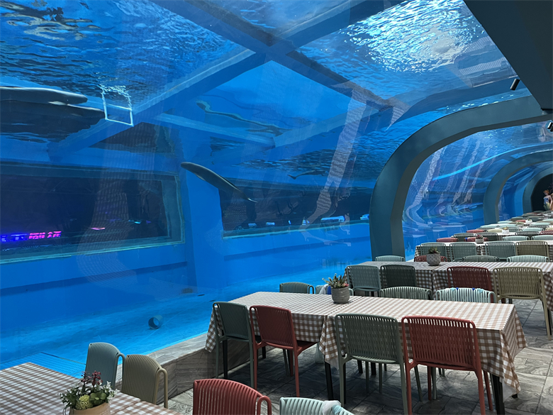 Using Acrylic Panel To Build Underwater Tunnel Aquariums-Leyu Acrylic Sheet Products Factory