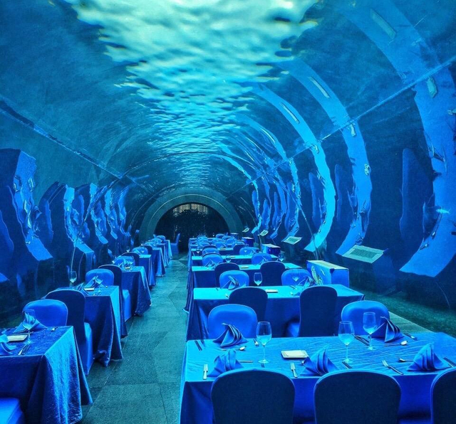 Akrilik panel ile akrilik su &ouml;zellikli restoran yapmanın faydaları nelerdir - satılık Leyu akrilik havuzlar