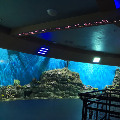 Leyu akryl kan tilby akrylvinduer til salgs- leyu