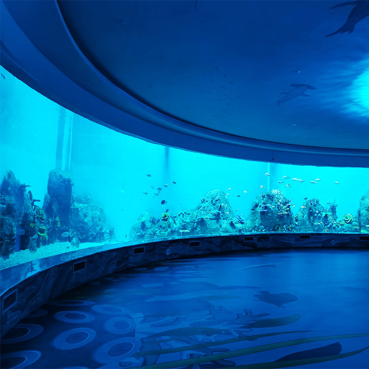 Le Yu Acrylic Factory takes you to explore the Sea World oceanarium - Leyu