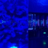 Acquario per meduse acrilico personalizzato, acquario per meduse, quali stili - Leyu