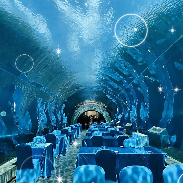 360 Aquarium Tunnel Polar Ocean World – Leyu