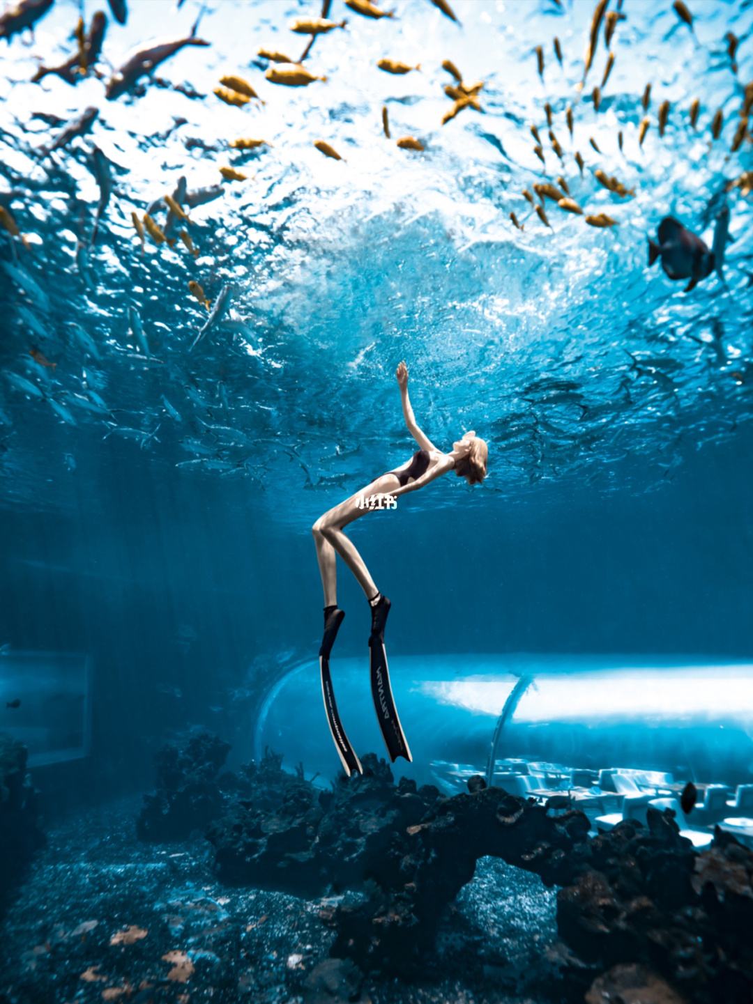የተለያዩ acrylic Aquarium Architectures - LEYU