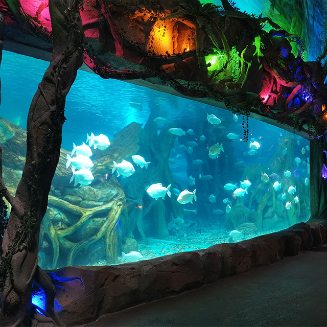 Professionele, in de fabriek op maat gemaakte acryl aquariumpanelen van elk formaat - LEYU