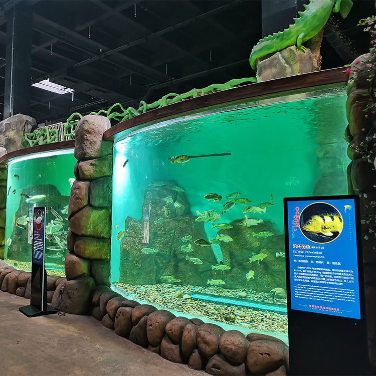  Oceanarium lisbon oceanarium near me bar harbor oceanarium Leyu acrylic aquarium factory professional customization - Leyu