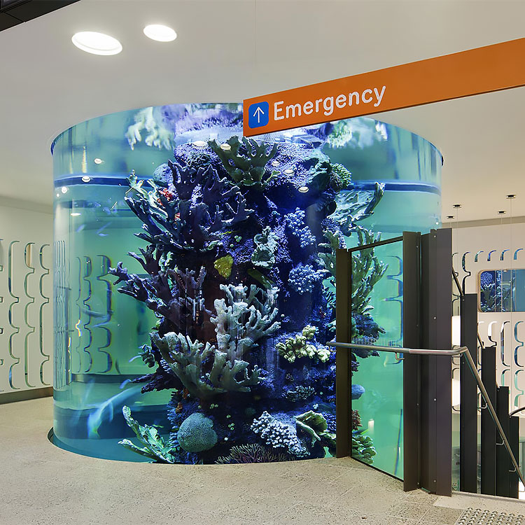 Grote op maat gemaakte fabrikanten van acryl aquariums populair in het Midden-Oosten - LEYU 