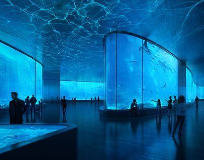 އެކްރިލިކް އެކްވަރިއަމް އެއް ކަސްޓަމައިޒް ކުރާނެ ގޮތް - leyu