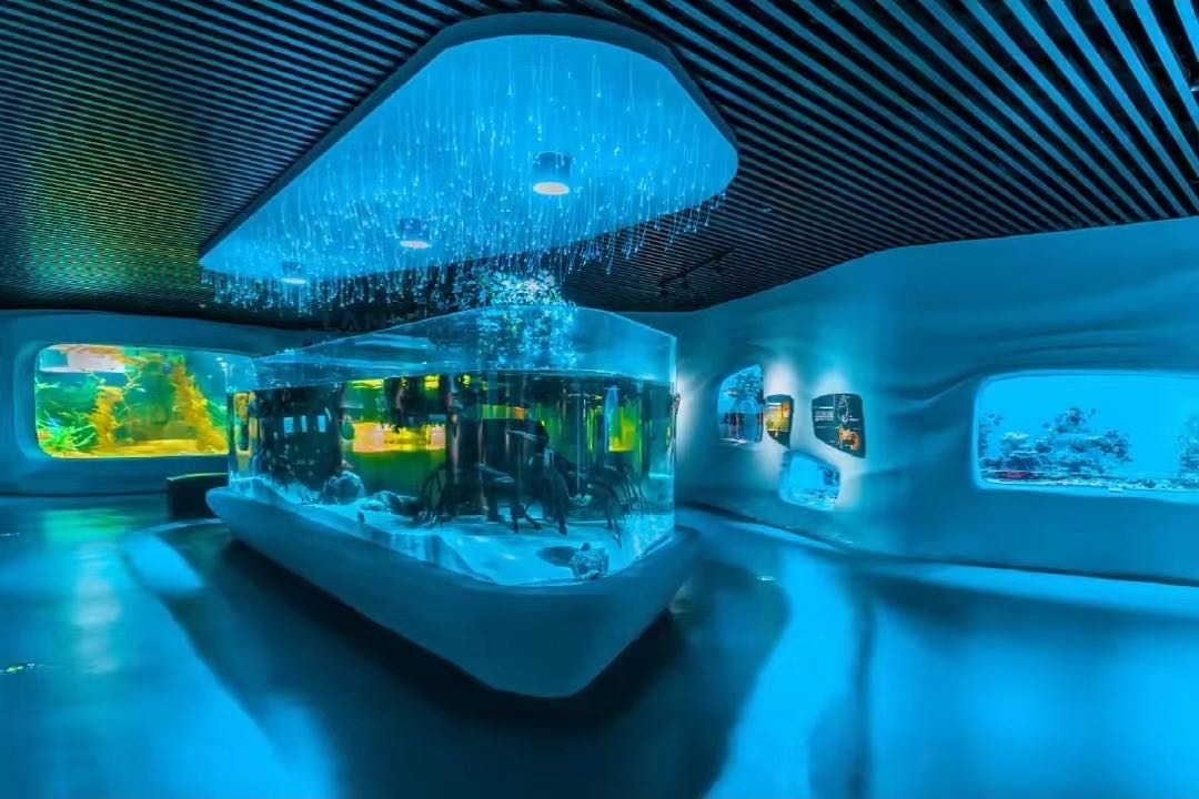 D&eacute;couvrez les avantages des aquariums en acrylique&nbsp;: pourquoi l'acrylique est le mat&eacute;riau id&eacute;al pour les projets d'aquarium modernes