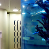 Leyu Acrylic Aquarium ፋብሪካ ከፍተኛው 800ሚሜ ውፍረት ላለው aquarium የ acrylic sheets ይሸጣል - ሌዩ