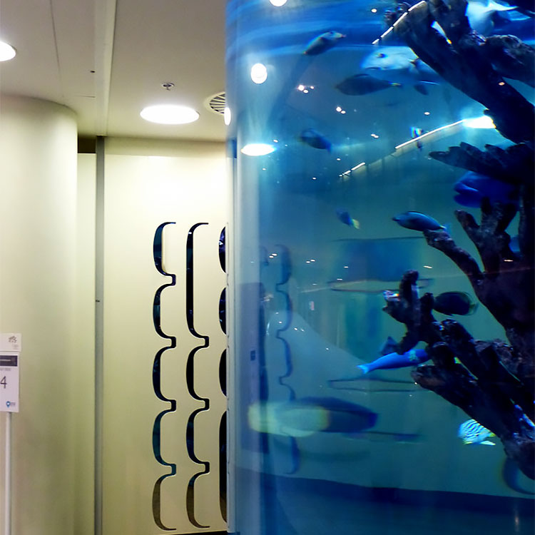 Leyu Acrylic Aquarium Factory sells acrylic sheets for aquarium with a maximum thickness of 800mm - Leyu