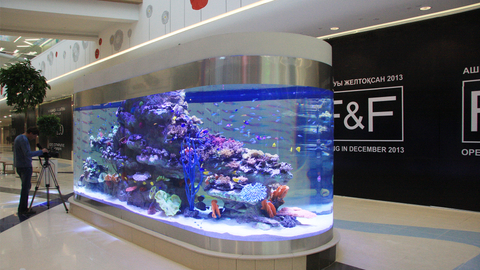 Aquarium akrilik jernih oleh pabrik akuarium akrilik leyu - leyu 