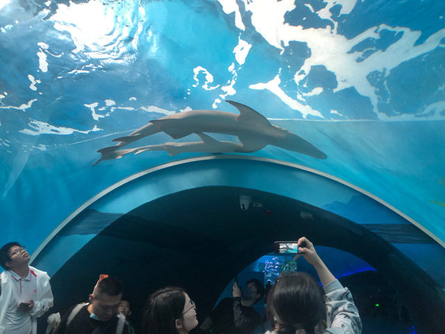 በሊዩ አሲቢሊክ ፋብሪካ የተሠራ የውሃ መንገድ - ሊዩ