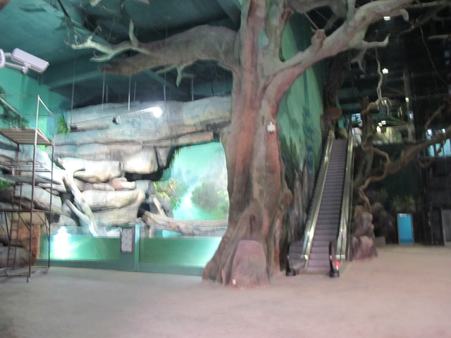 Akwarium abadanlaşdyryş sergisi 22-1 Leyu