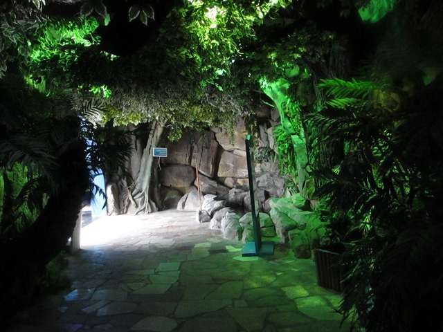 Akwarium abadanlaşdyryş sergisi 1- Le&yacute;u