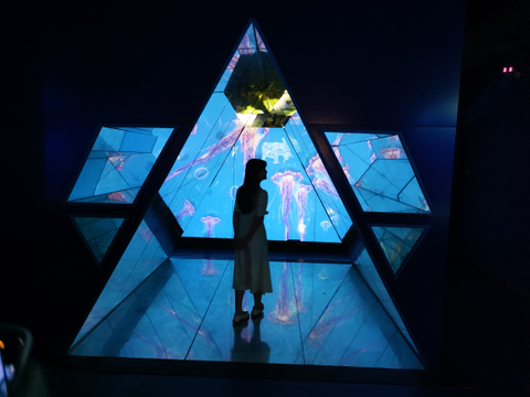 Вялікі акрылавы акварыум на продаж Leyu Acrylic Factory спецыялізуецца на наладцы для вас, гарантуючы, што ён не жоўкне на працягу 20 гадоў - LEYU