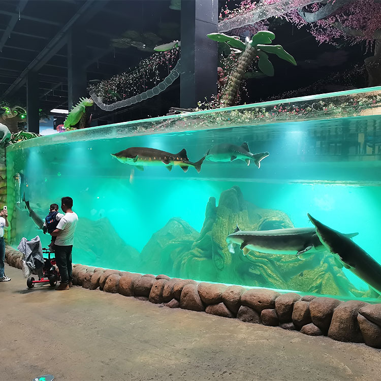 2024 ʻAʻole hiki i ka Aquarium ke hala i ka hoʻolālā puka aniani o ka aquarium curved - Leyu Acrylic Sheet Products Factory