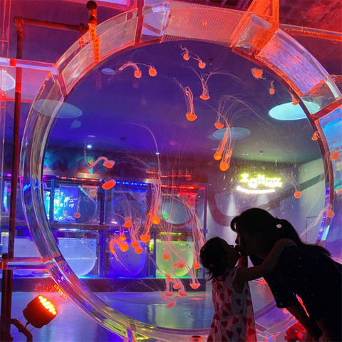 Jellyfish Aquarium posso avere meduse nel mio acquario - Leyu