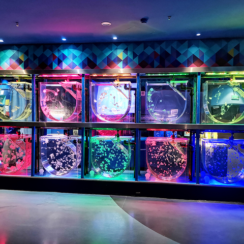 Fábrica de Acuario Acrílico Leyu ojapo 100 gal Acuario Acrílico - Leyu . 