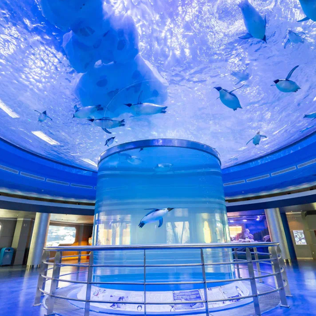 Acrylaquarium populair ontwerp in 2024 - Leyu