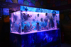 Munani huk acuario acr&iacute;lico seaclear rantiypaq personalizayta - leyu 