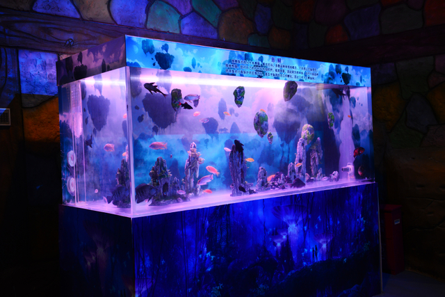 Ik wil een seaclear acrylaquarium kopen - leyu Acrylic Factory