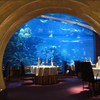 የተለያዩ acrylic Aquarium Architectures - LEYU